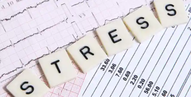 How To Manage The Stress In Your Life