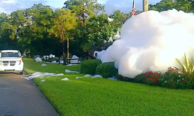 Neighbor Demands That She Clean Her Lawn, But She Gets The Last Laugh