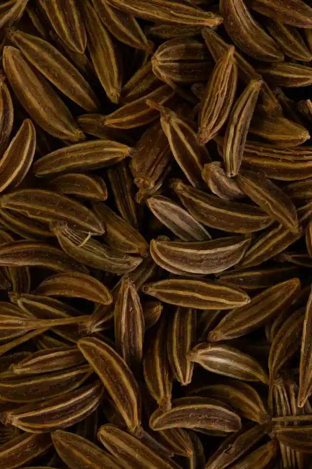 Caraway Seeds to Relieve Flatulence and Bloating