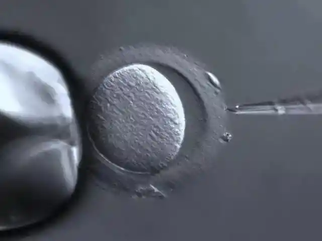 The First Baby Ever Born Via In Vitro Fertilization Speaks About Her Life, People Are Shocked