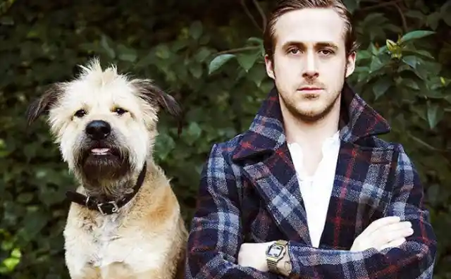 Celebs Who Are Obsessed With Their Pets