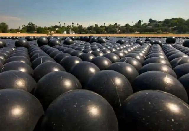 The World's Biggest Ball Pit