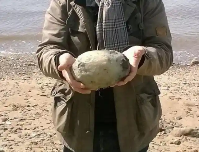 Man Brings Home An Odd Rock, Authorities Tell Him To Stay Inside