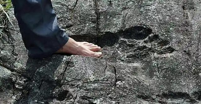 A Giant Footprint