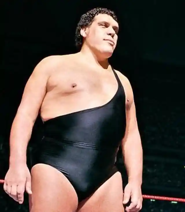 Andre the Giant- Now