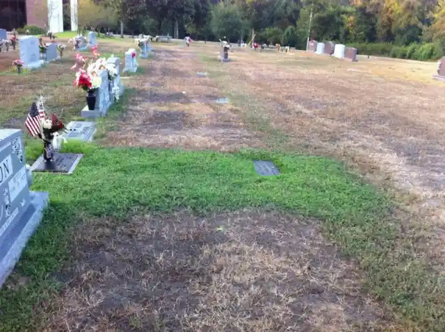 Mother Shocked To See Her Son’s Grave Green, Then Mysterious Man Approaches Her