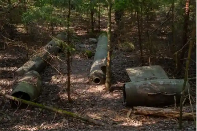 Man Finds Giant Rocket In Forest, Mouth Falls Open When He Sees What's Inside