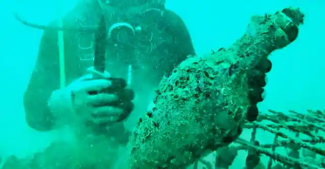 Diver Opens 340-Year-Old Jar, Realizes Why It Was Sealed