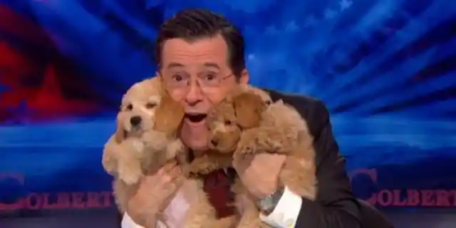 Stephen Colbert