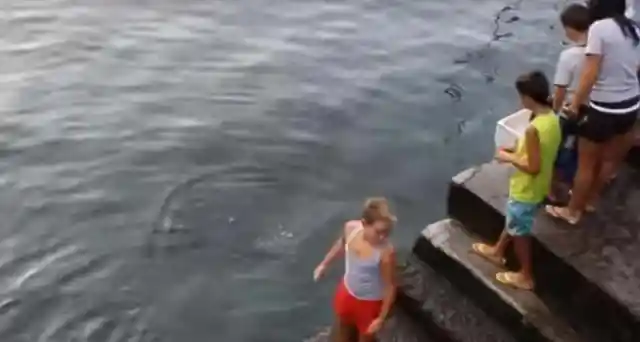 Little Boy Is Traumatized After Encountering This Sea Creature By The Docks