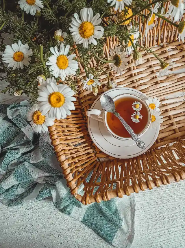 Chamomile Tea Helps Reduce Bloating and Gas