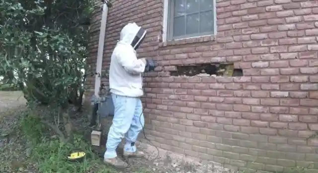 Removing more bricks
