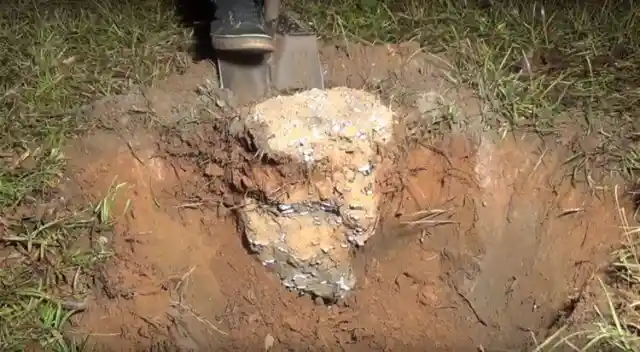 After This Man Poured Metal Inside An Ant Nest, What He Dug Up Was Magical