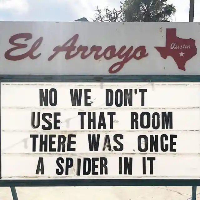 Spider Trauma Haunts Us All