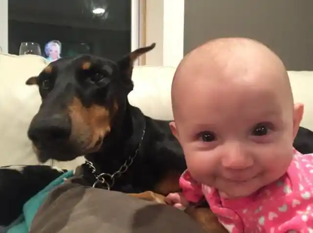 Couple With Newborn Adopts Rescue Dog, Quickly Regrets It 