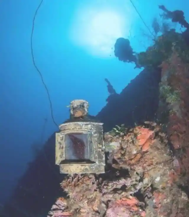 Woman Makes 70-Year-Old Discovery In The Dark Depths Of The Pacific Ocean