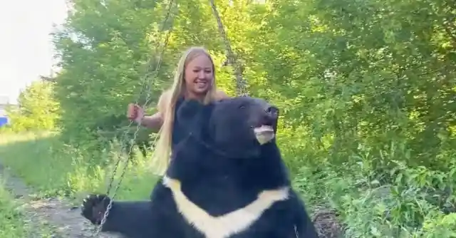 Her Relationship With The Bear