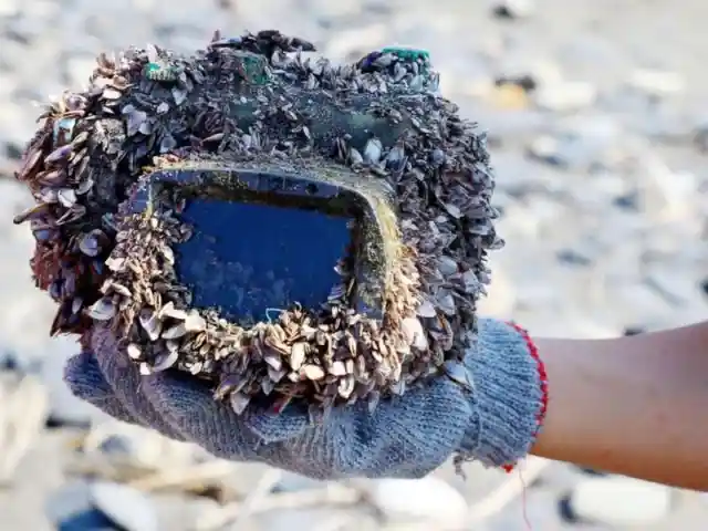 Woman Drops Her Camera In The Ocean, Two Years Later She Receives A Strange Letter
