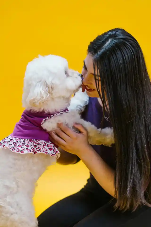 Licking Your Body Or Face Means Their Easing Their Stress