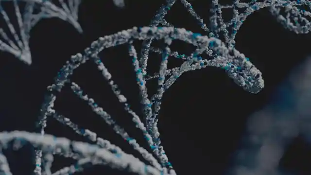 Evolution Of DNA Testing