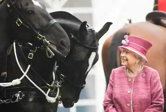 Here’s a Peek Into Queen Elizabeth’s Strange Possessions