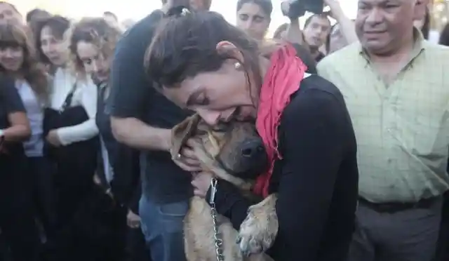 1. A woman and her doggie. Saying goodbye.