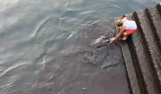 Little Boy Is Traumatized After Encountering This Sea Creature By The Docks