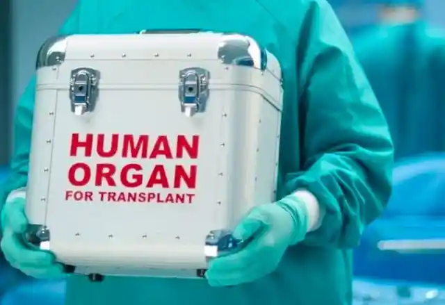 A Shortage Of Organs