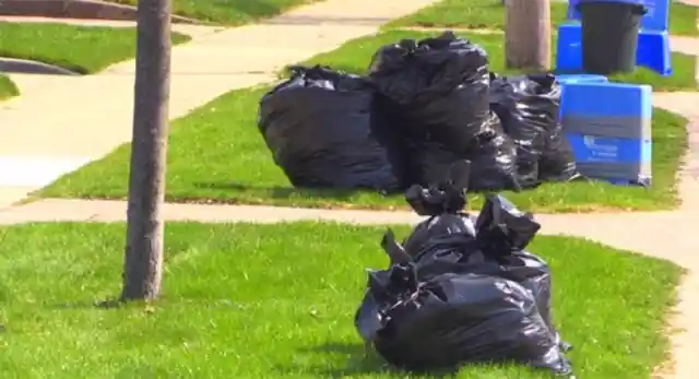 Woman Stops When She Sees Trash Bag Moving, Stunned By What Is Inside
