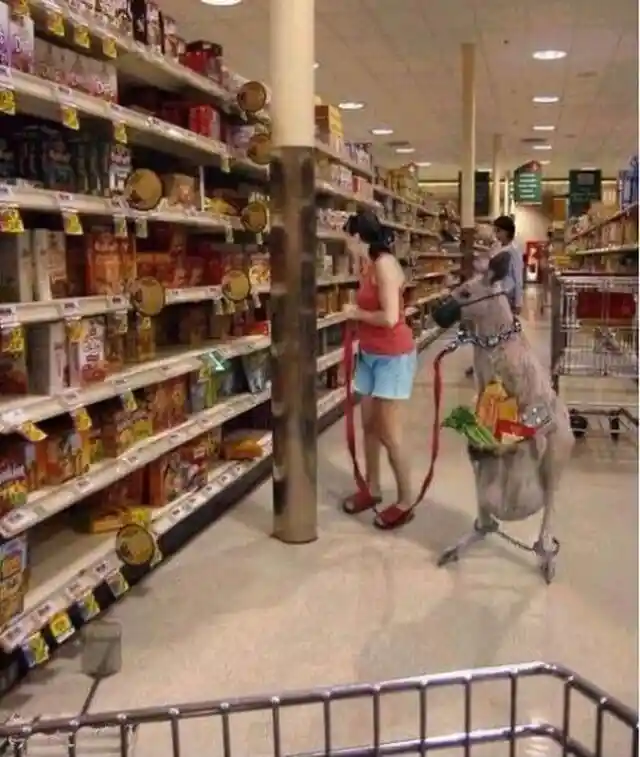Security Camera Footage Features-Grocery Shoppers Gone Wild!