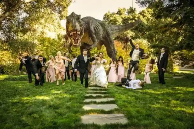 Hilarious Wedding Photos The Photographer Wasn't Expecting