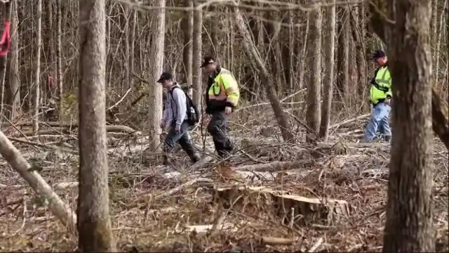Bear Takes Care Of A Little Boy Who Got Lost In Woods For 3 Days