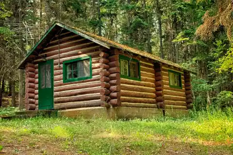 The Cabin in the Woods