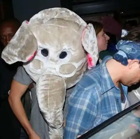 Harry Styles As A Nerdy Elephant?