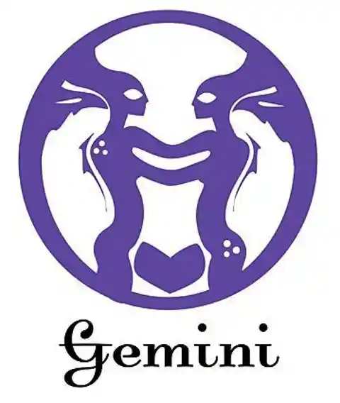 12. Gemini 