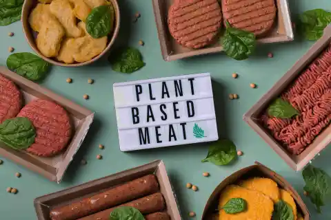 29. Plant-Based Meat Substitutes