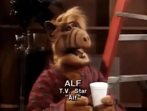 ALF Co-Hosted A Talk Show
