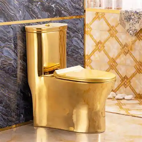 Golden Toilets