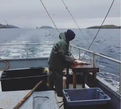 Fishermen Think They Found A Seal On A Floating Iceberg - Don't Realize What It Actually Is