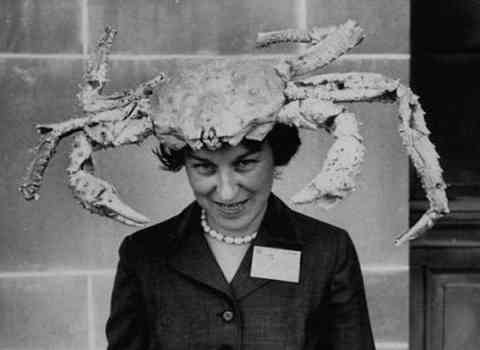 Live Crab Hat
