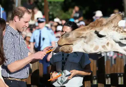 Hilarious Photos Of The Royal Family Caught Being Un-Royal