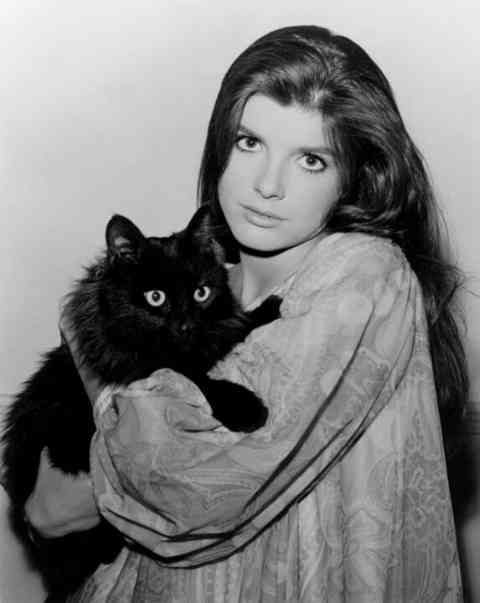 Katharine Ross