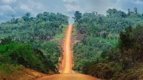Roads In The Amazon