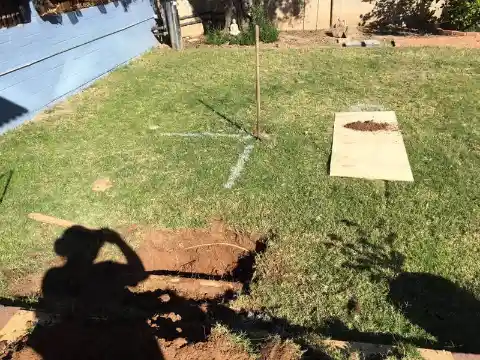 An Arizona Man Made An Amazing Backyard Discovery After Hearing A Rumor