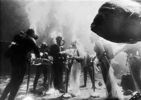 Underwater Wedding At The Marineland Of The Pacific In Los Angeles