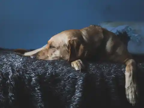 Staring At Her Bed