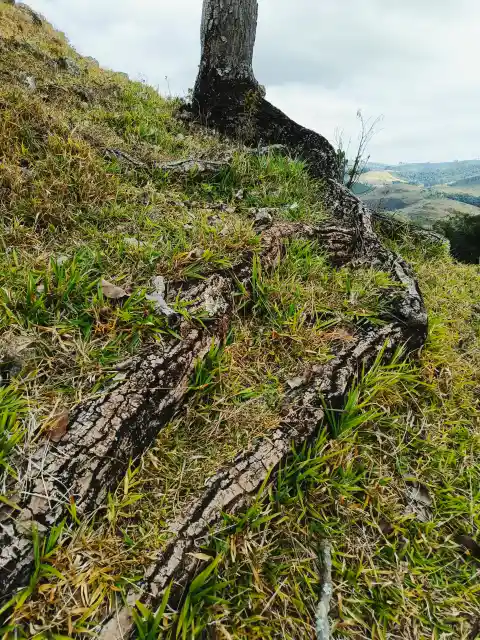 Reduction of Soil Erosion