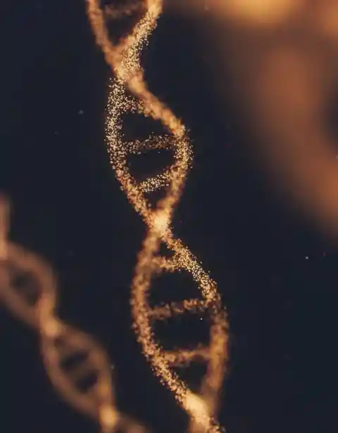 Mom Of 3 Takes DNA Test, Results Show Her Kids Aren’t Hers At All