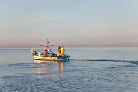 Little Boy Is Traumatized After Encountering This Sea Creature By The Docks