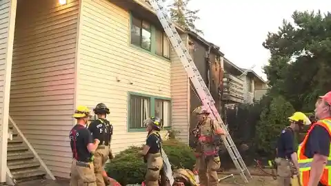 Firefighters Let House Burn to the Ground Because of What They Found Inside